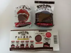 【新品未開封】チョコまみれ マグネット 2個セット 不二家 カントリーマァム