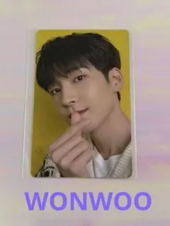 SEVENTEEN ウォヌ あいのちから