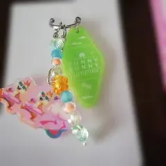 東京ディズニーリゾート　SUNNY SUNNY SUMMERキーホルダー