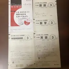 中学3年 ベネッセ 進研模試 2019年度 第1回 学力推移調査のサムネイル