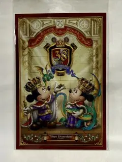 【新品未開封品】東京ディズニーランド 38周年 ポストカード