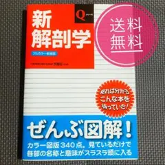 値引きしました。 新解剖学 Qシリーズ フルカラー