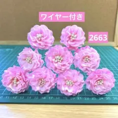 ソラフラワー　2663