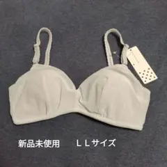 Item thumbnail for item 9f4311b9-242e-4630-9b36-5733a0ef9eab