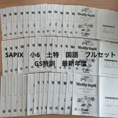 2026年最新】sapix gsの人気アイテム - メルカリ