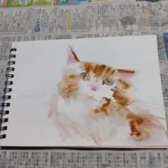 猫 アート・写真
