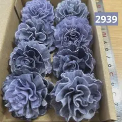 ソラフラワー　2939のサムネイル