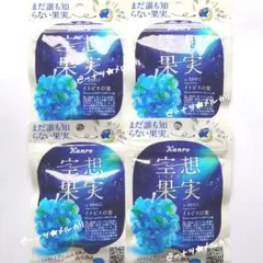 虎屋 小形羊羹『ラムレーズン』【バラ3本】ゆうパケットポストmini発送のサムネイル