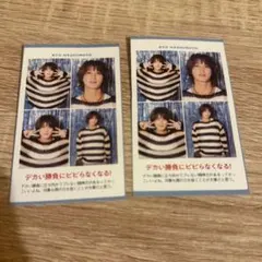 橋本涼　証明写真　2枚セット