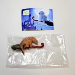 空とぶほうき アルマジロトカゲ ガチャガチャ カプセルトイ