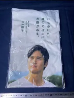 Item thumbnail for item 47e363d1-58f9-4a50-ad40-ff7b3de2524c