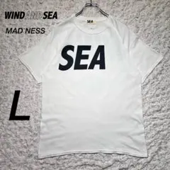 313【人気Lサイズ】エフアールツー×ウィンダンシー☆限定コラボ半袖T 