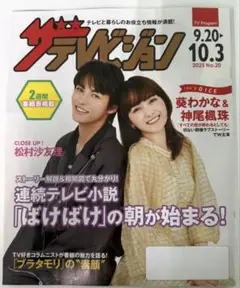ザテレビジョン 2025年 No.20