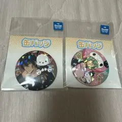 家庭教師ヒットマンREBORN！ 缶バッジ サンリオ ザンザス フラン