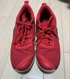 Item thumbnail for item 66c92867-38c1-4aaa-b4a1-3a25f17c7e05