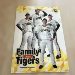 2026年最新】阪神タイガース クリアファイルの人気アイテム - メルカリ