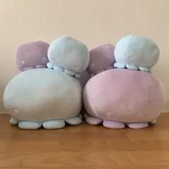 えのすい 新江ノ島水族館 くらげ 6点セット