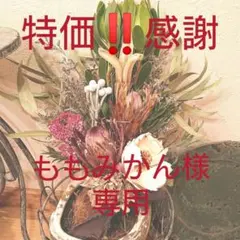 プロテア２種類&パームフラワーネイティブ