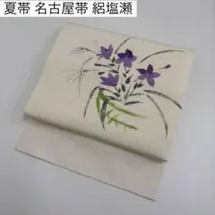 夏帯 作家物 名古屋帯 絽塩瀬 草花の染め 正絹 九寸 U-8168 正絹 名古屋帯染め帯 リサイクル 九寸名古屋帯草木染め 塩瀬