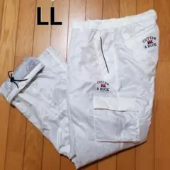 Item thumbnail for item 2a09df7e-0178-4a81-bca2-5203f89edcba