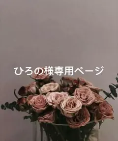 ひろの様専用ページ