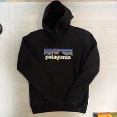 パタゴニア パーカー