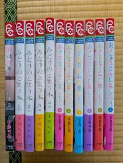 恋みち・主人公恋日記 全巻セット - メルカリ
