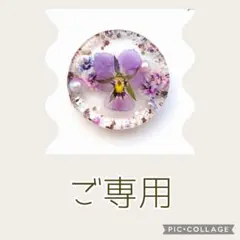 ようよ様ご専用 no.1787 レジン ヘアゴム ブローチ ポニーフック