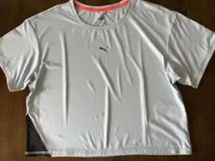 REGULAR FIT  REFLECTIVE Tシャツ　レディースＭ　水色