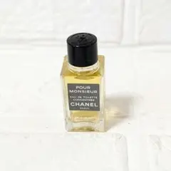 2025年最新】chanel プールムッシュの人気アイテム - メルカリ