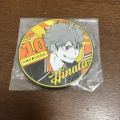 ハイキュー　ラバーコースター　日向翔陽
