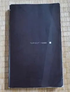 Item thumbnail for item 24dcac32-7378-42ab-9748-aa6e7478de29