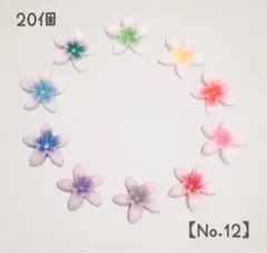 No.12 プルメリア 20個 ハンドメイド 3D