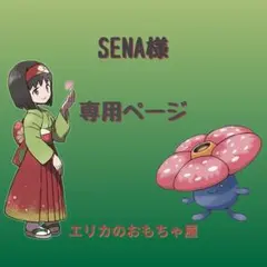 SENA様専用ページ