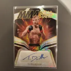 nbaカード サイン