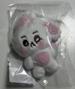 ALD1 ボイプラ サンウォン 10cm マスター ぬいぐるみ - メルカリ