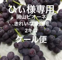 asaii.made　クール便　2キロ×2箱　岡山ピオーネきれいな家庭用 ひぃ様専用 クール便 岡山ピオーネ きれいな家庭用2キロ - メルカリ