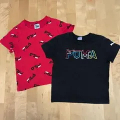 120cm Tシャツセット
