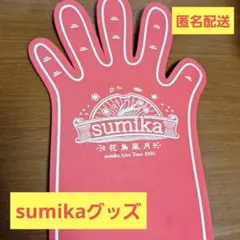 ちぃ　引越し整理中ちいかわグッズ多数出品様 リクエスト 2点 まとめ商品