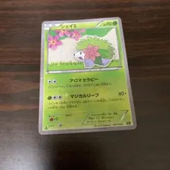 シェイミ CP5 幻·伝説ドリームキラコレクション PSA10 Amazon | ポケモンカードXY シェイミ/幻・伝説ドリームキラ