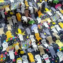 great cat　コットンこばやしのニット生地　つるサラ質感　日本製　延長可♪