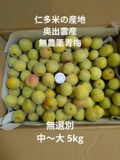 新鮮 青梅 産地直送 梅酒 梅シロップ用 5キロのサムネイル