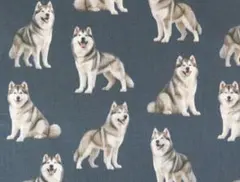 【ゆきちゃん限定】X2612-1 アラスカン・マラミュート柄 紺 生地 1m