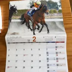 競馬 カレンダー 2026年 2月 コスタノヴァのサムネイル