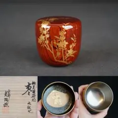 Item thumbnail for item 5aa10fb1-a25e-4db0-8032-e88a6132e214