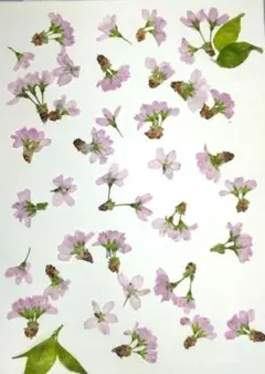 Item thumbnail for item 946c36a8-7641-4e47-8ef5-b6639da858f0