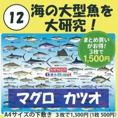 Item thumbnail for item 09f4a9da-d5a6-4174-8932-b4e47c4e7b9b