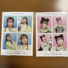 新品平成フラミンゴマツキヨココカラコラボ証明写真風カードRIHO NICO