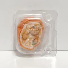 シルバニア どきどきコレクション 赤ちゃんフルーツパーティ2 トイプードル