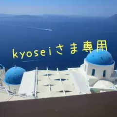 kyoseiさま専用
